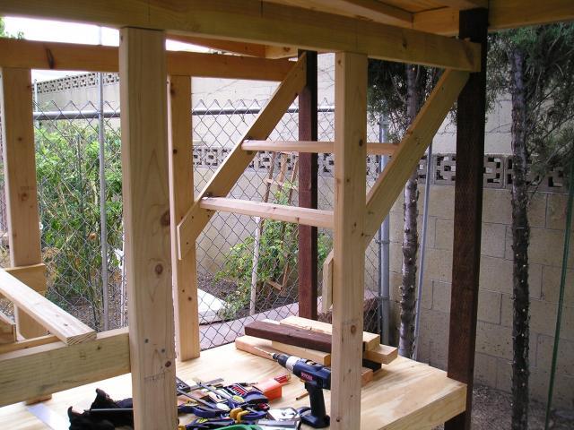 100196_p1010342.jpg