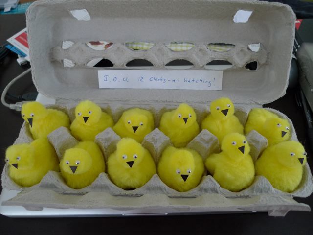 10034_chickhatch.jpg