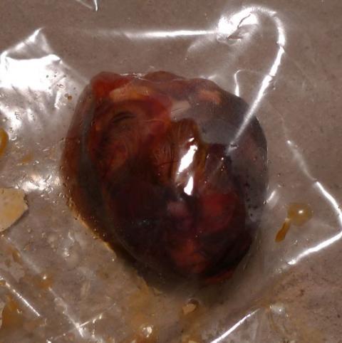 10034_egg1.jpg