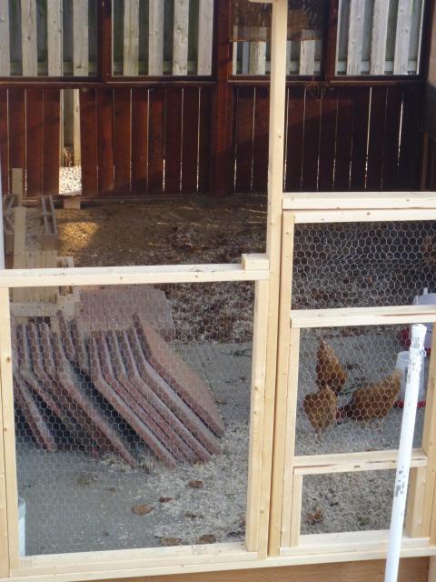 100379_chicken_photos_166.jpg