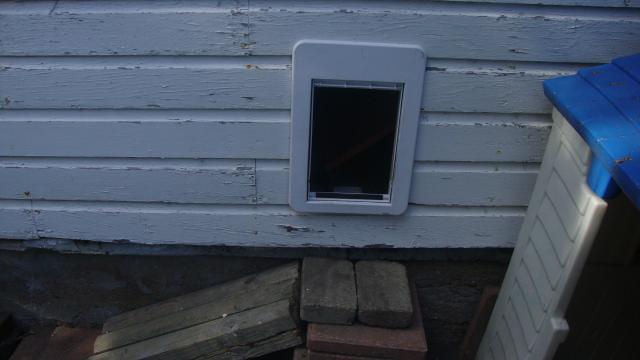 10047_dsc01272.jpg