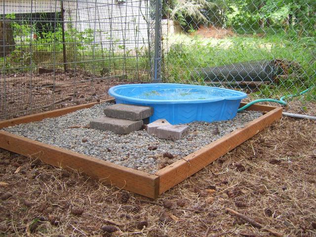 Ideas for making duck pen "duck friendly" | BackYard Chickens