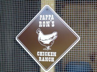 10056_chicken_shed-ranch_sign__1.jpg