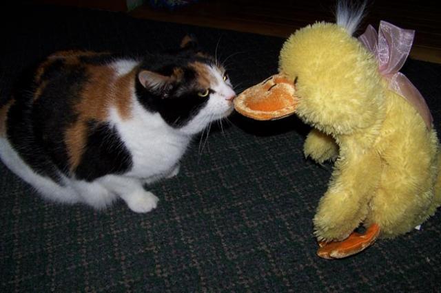 10071_princess_meets_roscoe.jpg