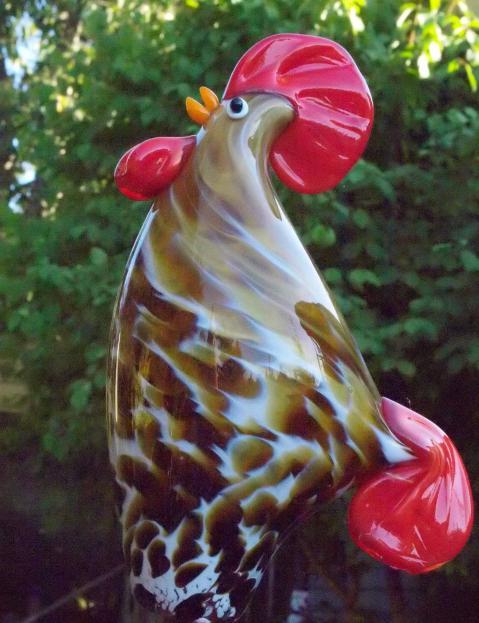 100816_rooster2.jpg