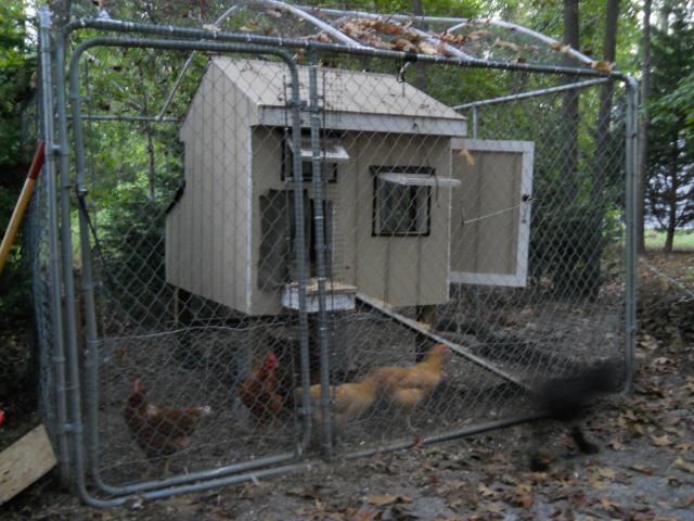 100896_dscn0072.jpg