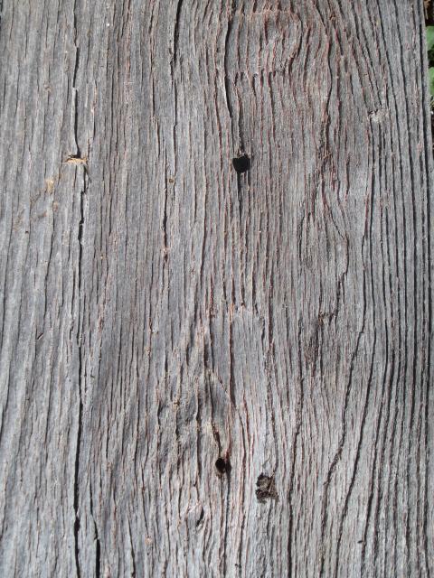 10091_100_4245.jpg