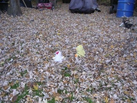 100952_dscn9654.jpg