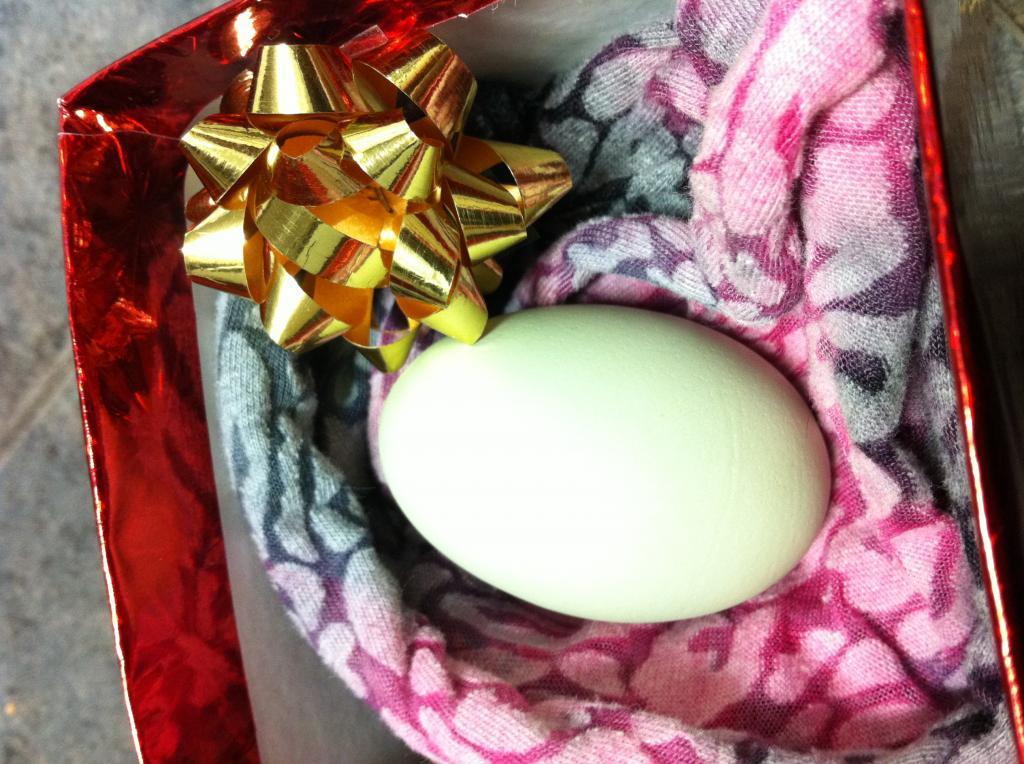 100980_new_egg_005.jpg