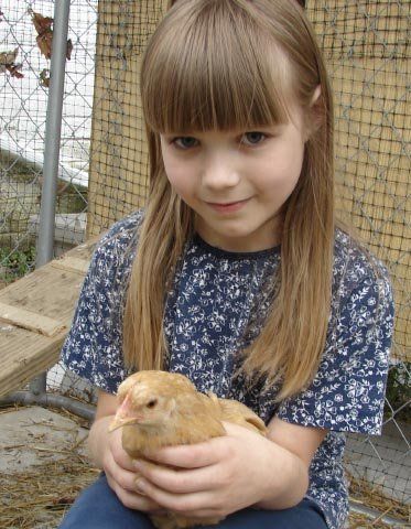 10100_baileychick3.jpg