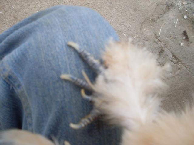 101058_sdc12932.jpg