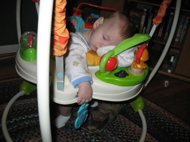 10133_img_1190.jpg