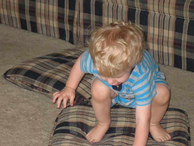 10133_img_3440.jpg