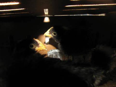 101609_september_2011_2005.jpg