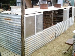 10175_2004-01-14_birds_and_pigs_015.jpg