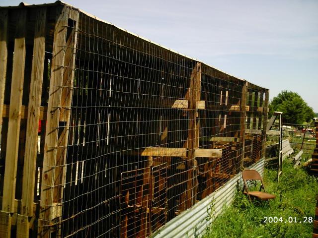 10175_2004-01-28_6-5-2010_game_chickens_089.jpg