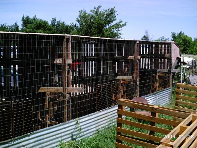 10175_2004-01-28_6-5-2010_game_chickens_090.jpg