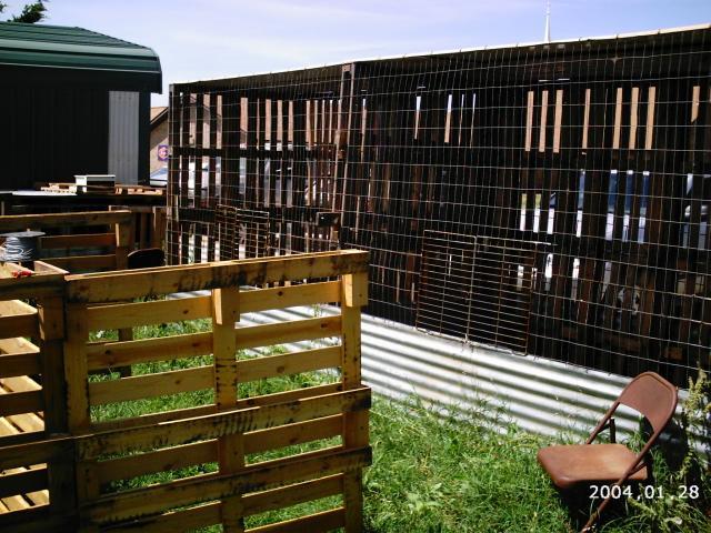 10175_2004-01-28_6-5-2010_game_chickens_096.jpg