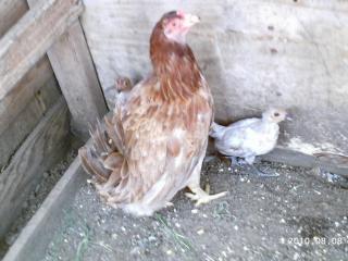 10175_phot0048.jpg
