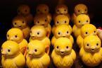 10175_yellow_army_of_chicks.jpg