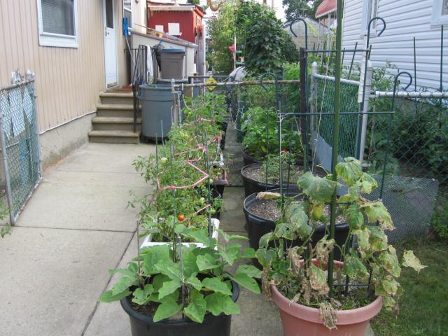 101978_074.jpg