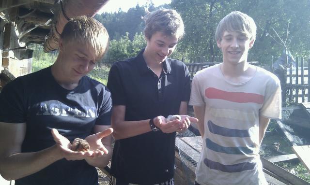 102334_lads_and_chicks.jpg