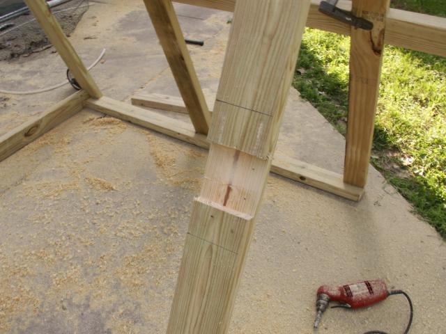 10233_chicken_ark_002.jpg