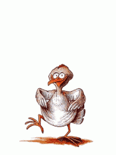 10233_chicken_dancing_2.gif