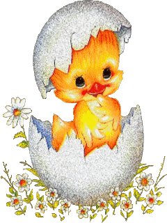 10233_chicken_hatch_3.gif