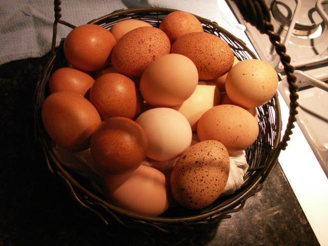 10233_eggs_007-1.jpg
