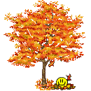 10233_fall_leaves_falling.gif