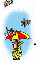 10233_raing_cats_and_dogs.gif