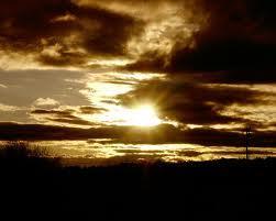 10233_s4.jpg