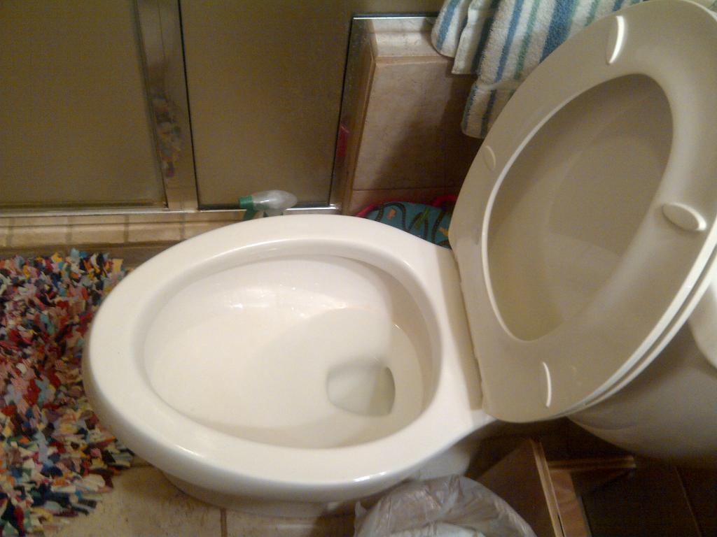 10233_toilet.jpg