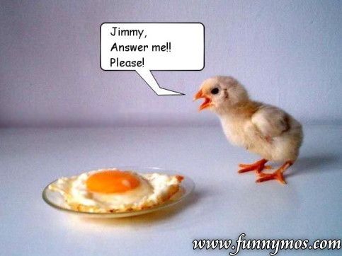 10233_wheres_jimmy.jpg