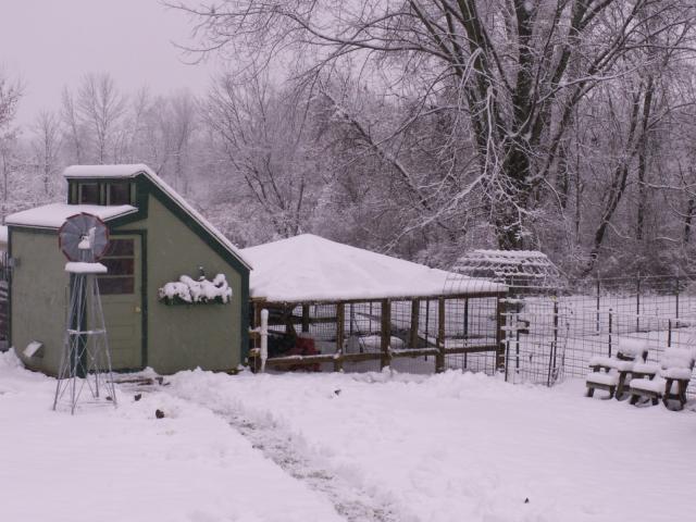 10233_winter_002.jpg