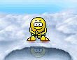10233_winter_polar_bear_club.gif