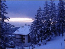 10233_winter_snowfall.gif