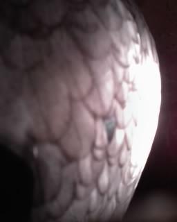 102350_09-30-11_1914.jpg