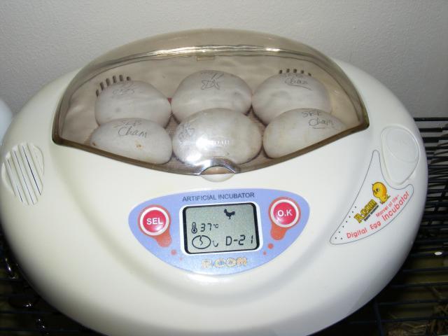 102391_pics_4272.jpg