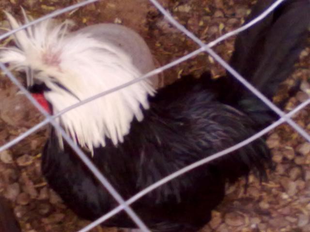 102486_024.jpg