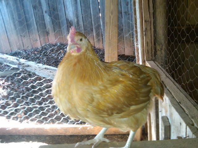 102514_wally.jpg