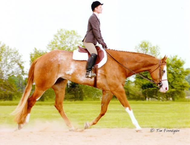 102578_stretch_and_heika.jpg