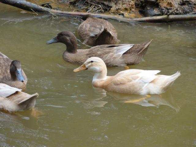 102600_dsc02345.jpg