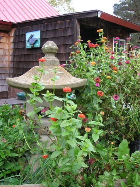10266_dscn0171.jpg