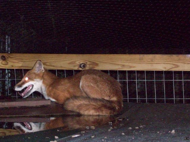 10269_101_0438.jpg