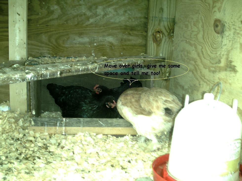 102729_buffy_intrudes.jpg
