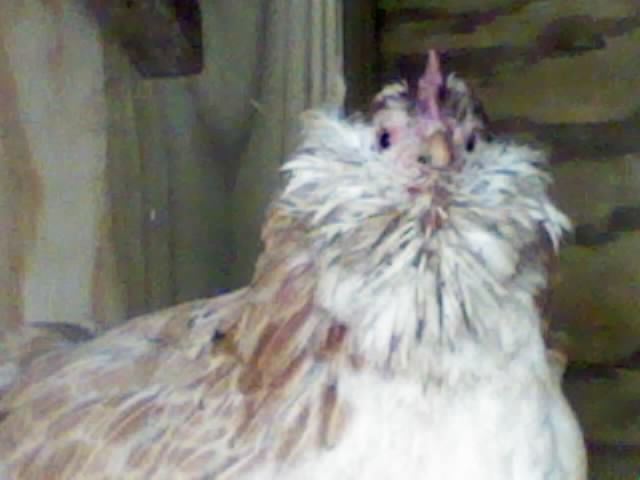 102729_nov10_004.jpg