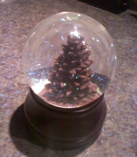 102916_snow_globe.jpg