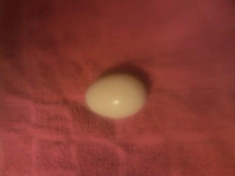 102968_first_egg.jpg